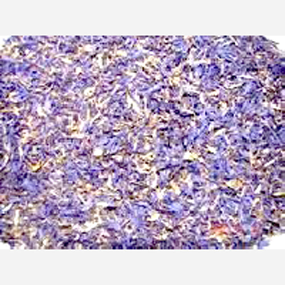 貿易屋 爽快温茶（体調コントロール系ブレンド）10gの画像