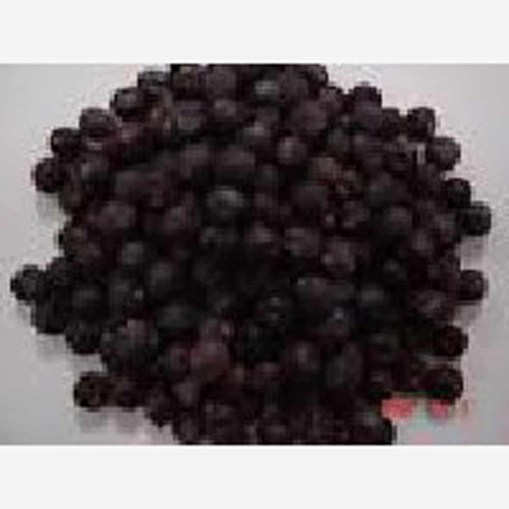 貿易屋 ジュニパーベリー（美容健康系）10ｇの画像