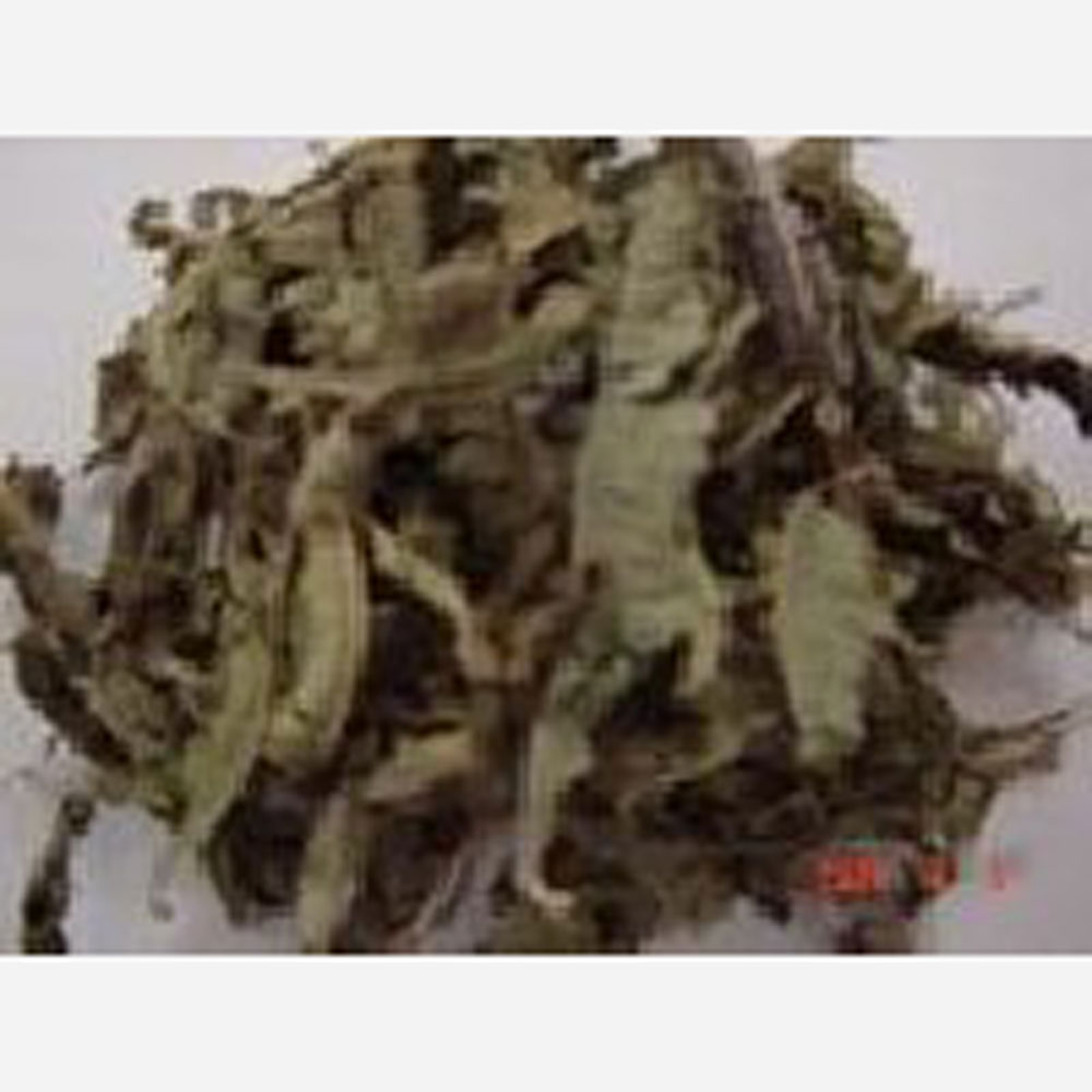 貿易屋 クローバー（体調コントロール系）10gの画像