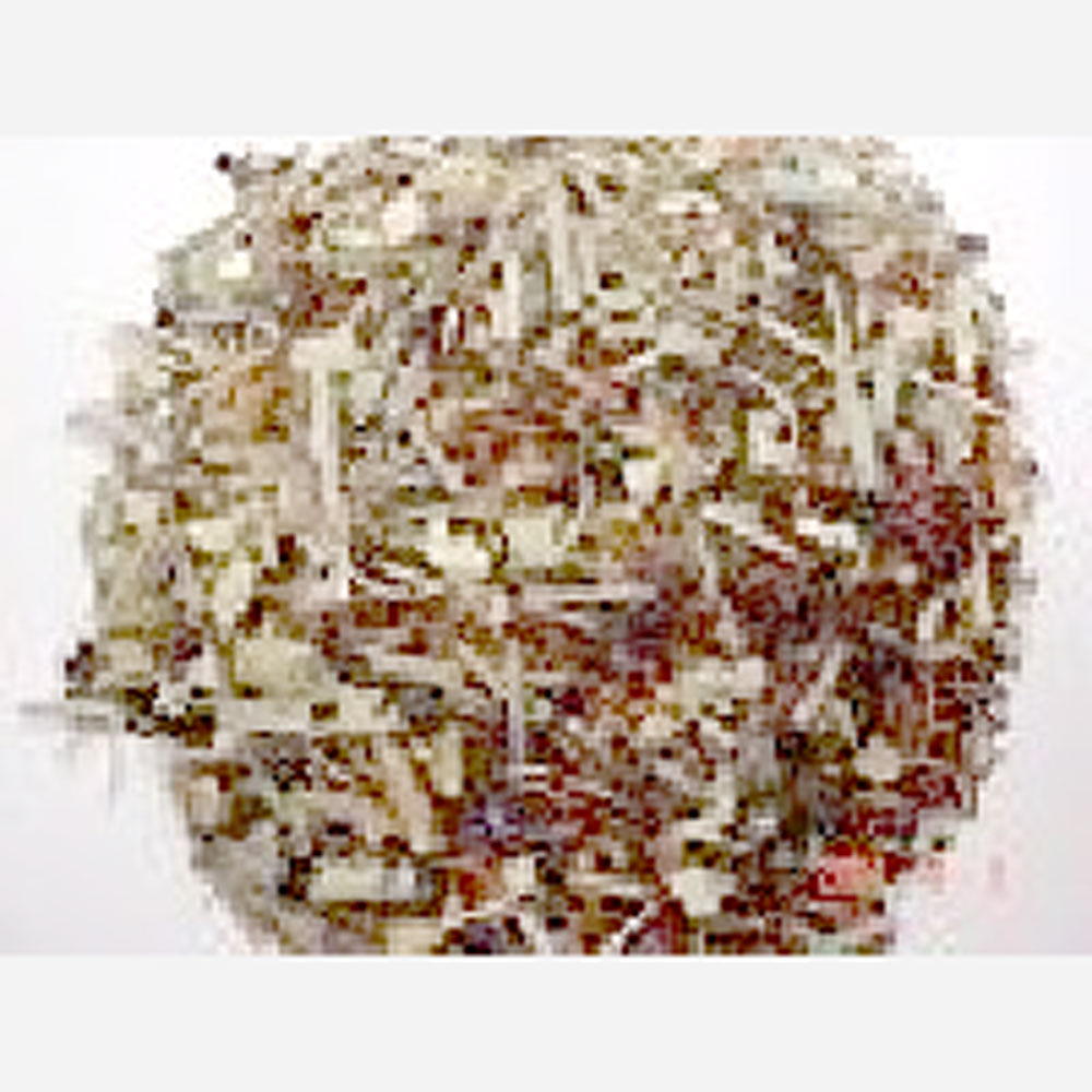 貿易屋 ハーブ減肥茶 10g（痩身志向系ブレンド）の画像