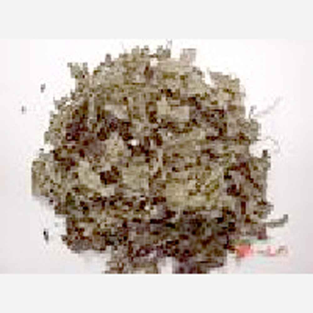 貿易屋 ペパーミント（リラクゼーション系）10gの画像