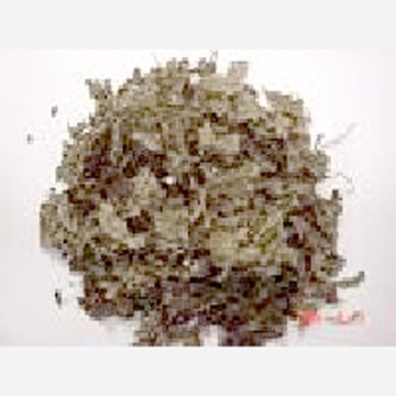 貿易屋 ペパーミント（リラクゼーション系）10gの画像