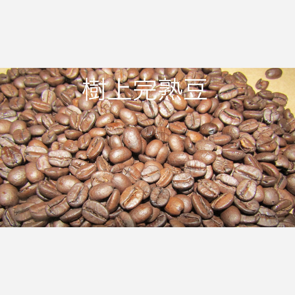 樹上完熟豆100g 粉の画像