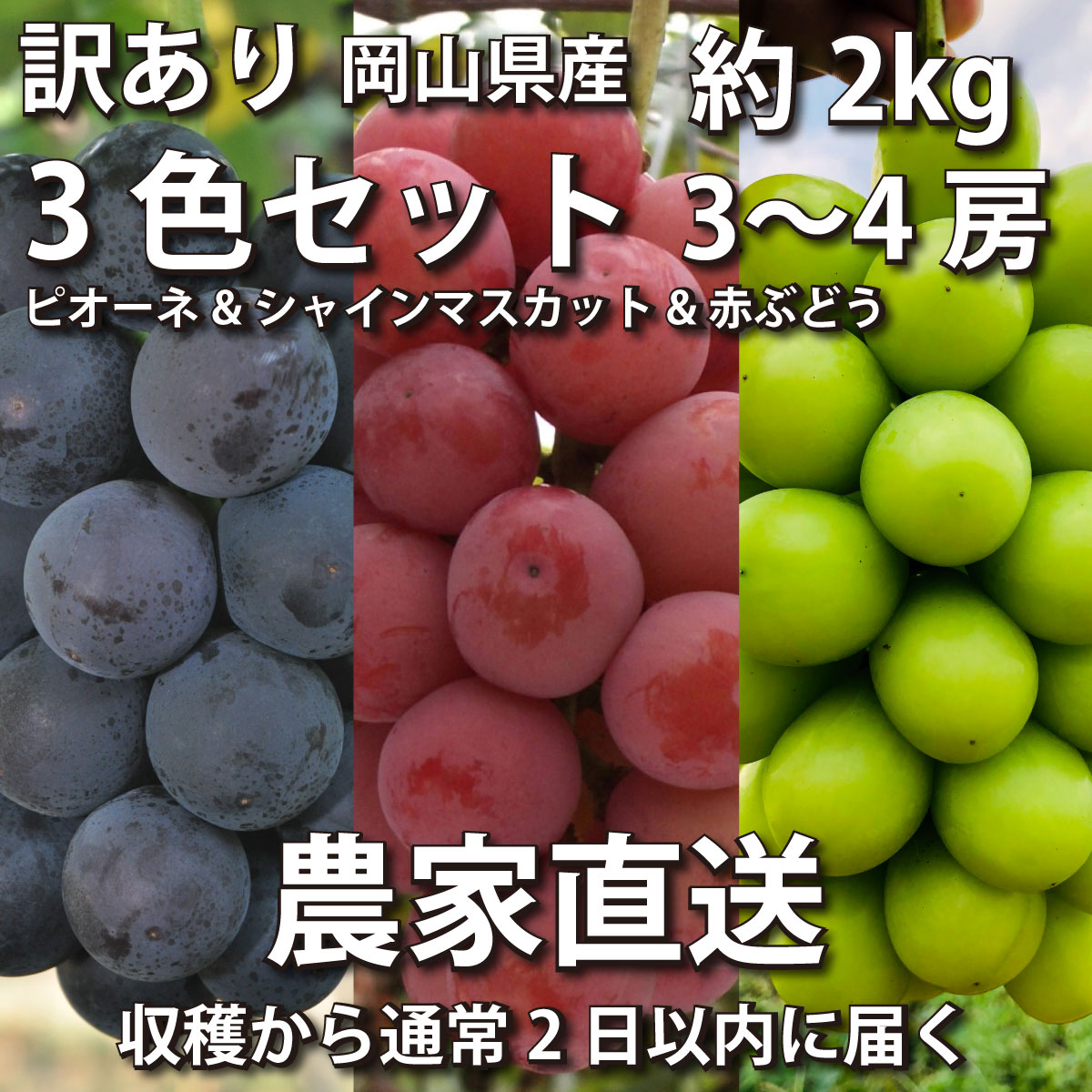 【ご家庭用】3色セット 約2kg 3〜4房画像