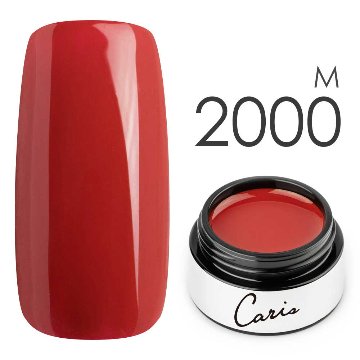 カラージェル#2000マット系カラージェル　国産化粧品製造販売届出済、プロ用カラージェル画像