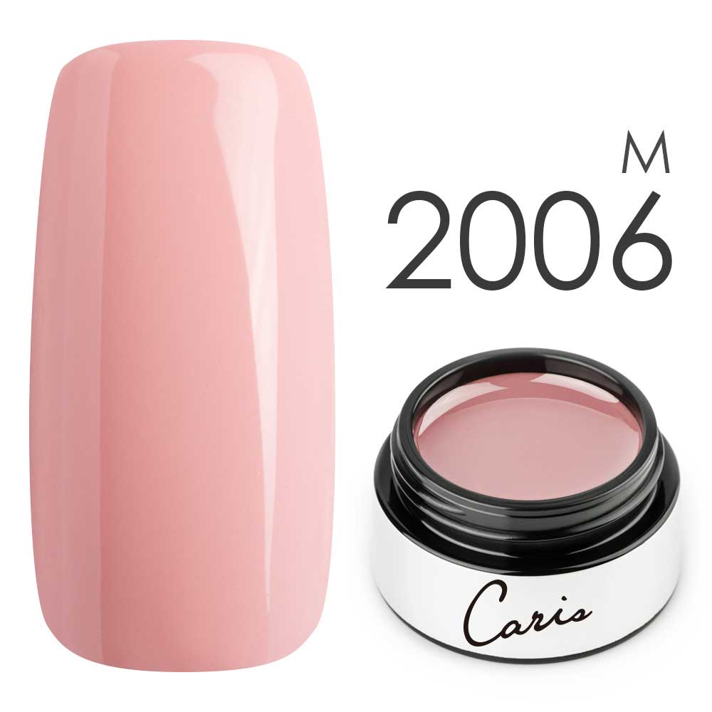 カラージェル#2006マット系カラージェル　国産化粧品製造販売届出済、プロ用カラージェル画像