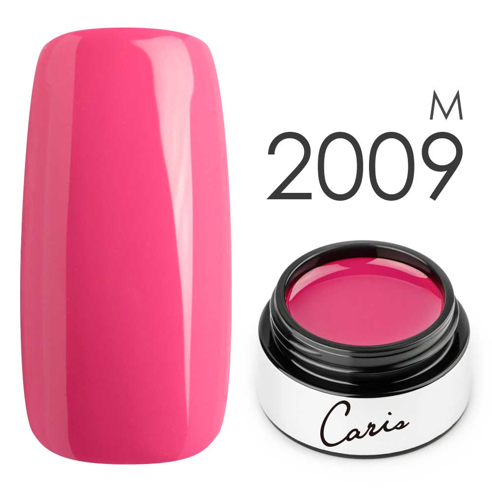 カラージェル#2009マット系カラージェル　国産化粧品製造販売届出済、プロ用カラージェル画像