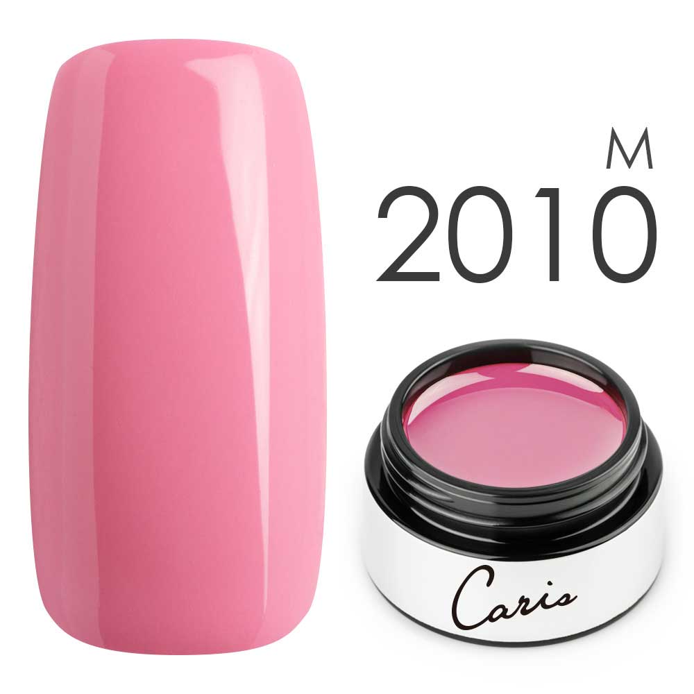 カラージェル#2010マット系カラージェル　国産化粧品製造販売届出済、プロ用カラージェル画像