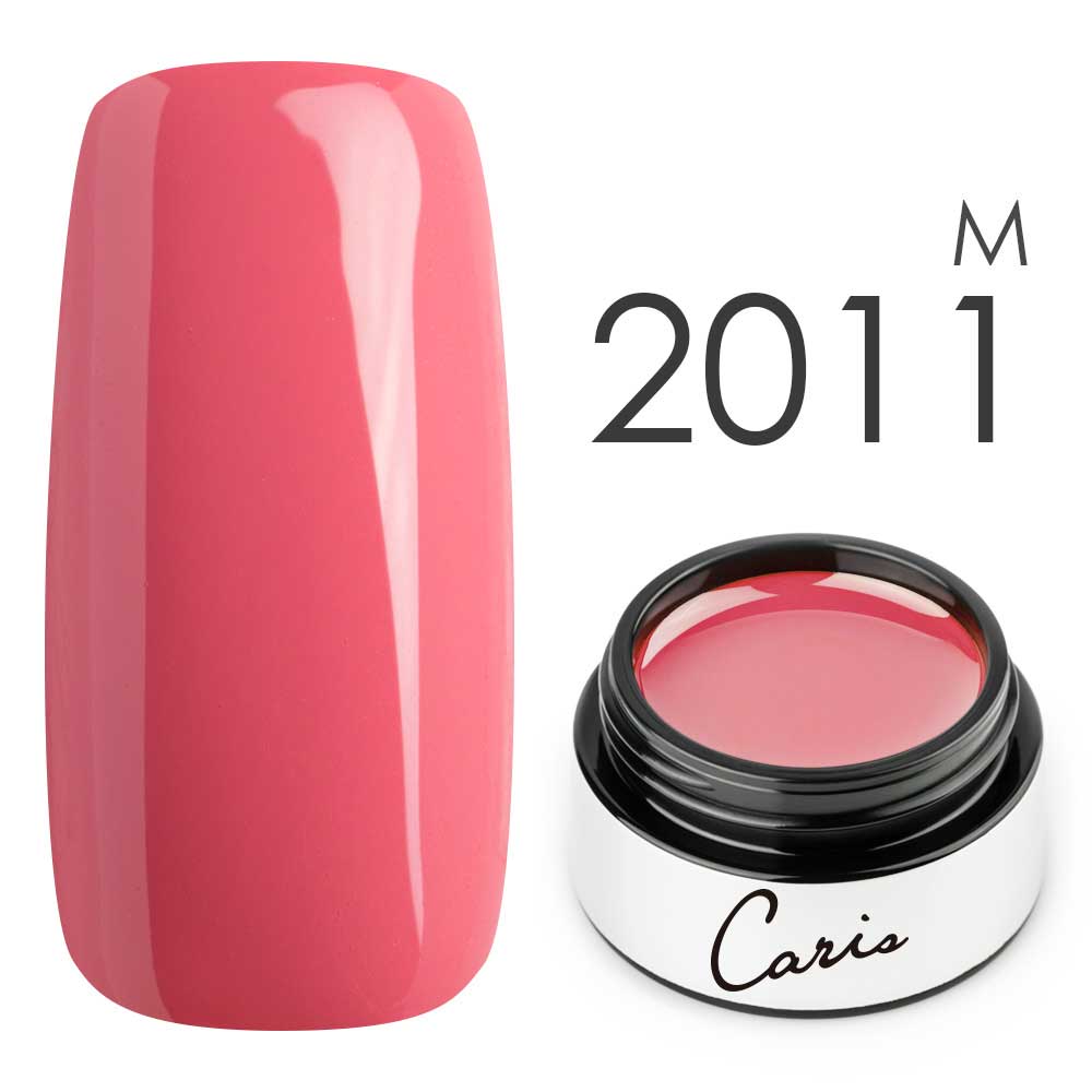 カラージェル#2011マット系カラージェル　国産化粧品製造販売届出済、プロ用カラージェル画像