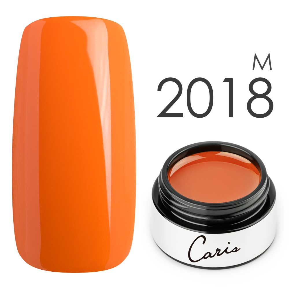 カラージェル#2018マット系カラージェル　国産化粧品製造販売届出済、プロ用カラージェル画像