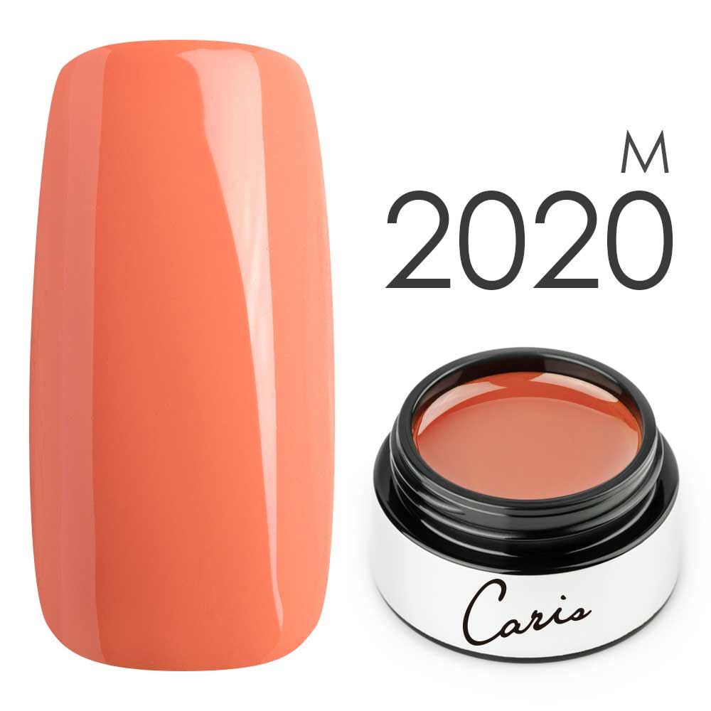 カラージェル#2020マット系カラージェル　国産化粧品製造販売届出済、プロ用カラージェル画像