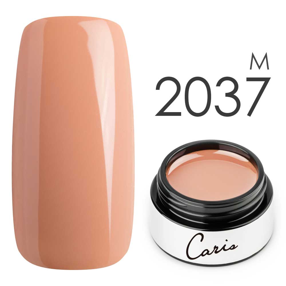 カラージェル#2037マット系カラージェル　国産化粧品製造販売届出済、プロ用カラージェル画像