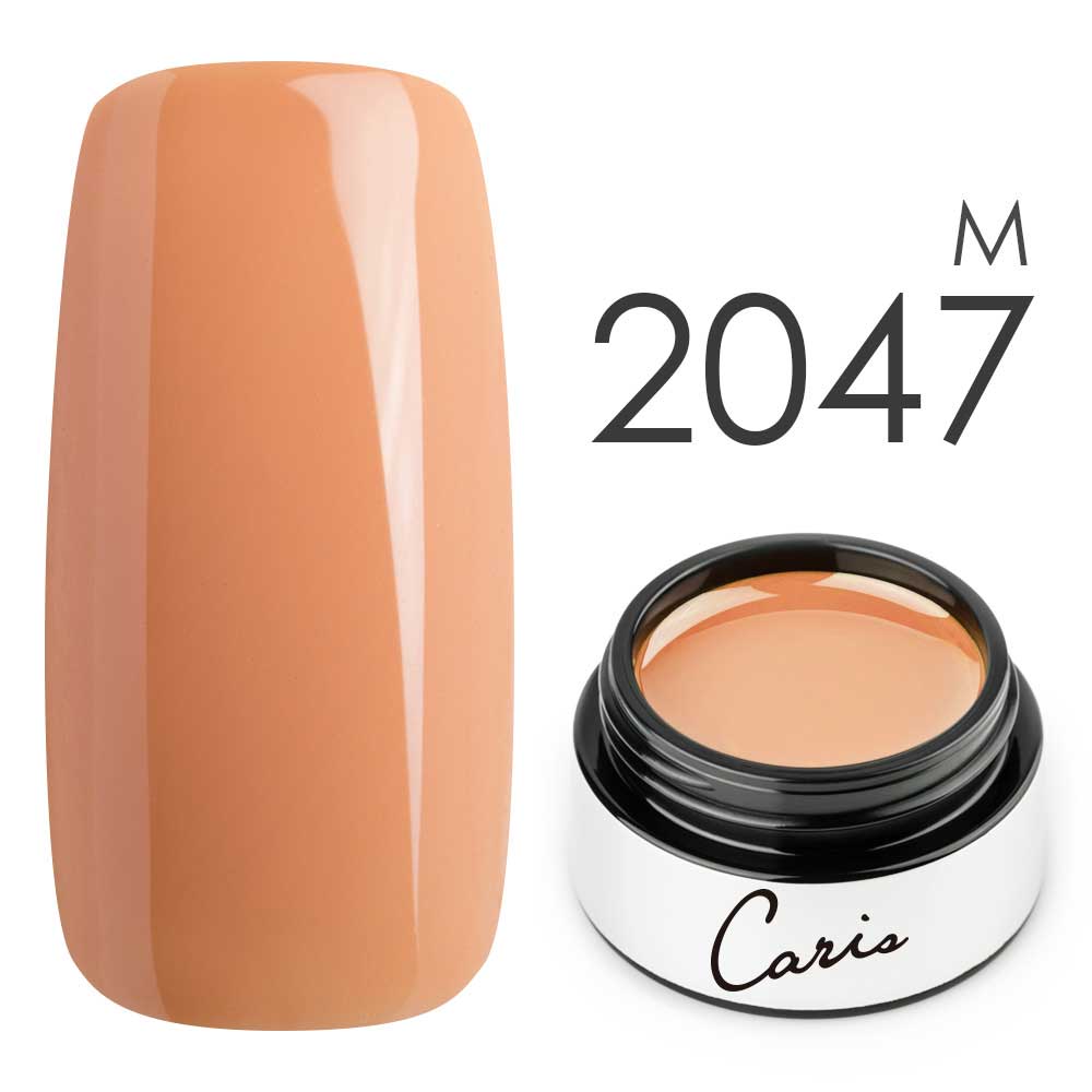 カラージェル#2047マット系カラージェル　国産化粧品製造販売届出済、プロ用カラージェル画像
