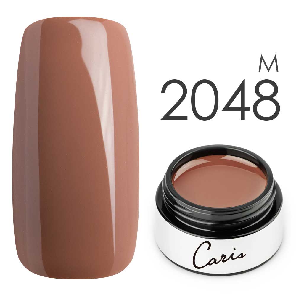 カラージェル#2048マット系カラージェル　国産化粧品製造販売届出済、プロ用カラージェル画像