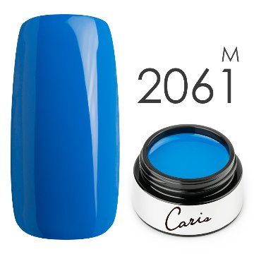 カラージェル#2061マット系カラージェル　国産化粧品製造販売届出済、プロ用カラージェル画像