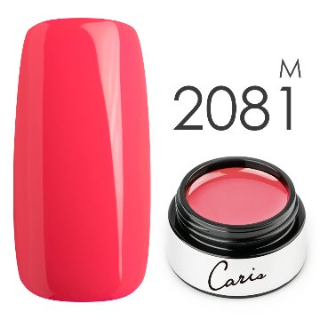 カラージェル#2081マット系カラージェル　国産化粧品製造販売届出済、プロ用カラージェル画像