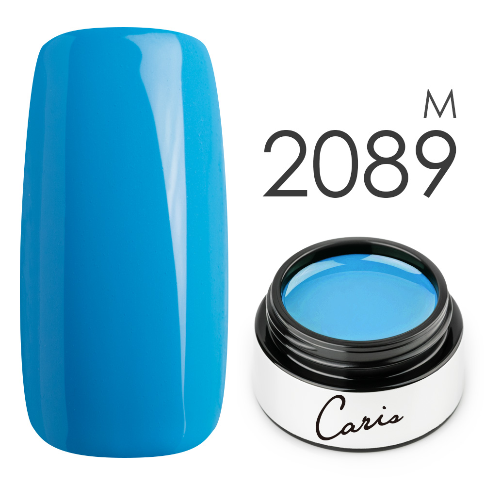 カラージェル#2089マット系カラージェル　国産化粧品製造販売届出済、プロ用カラージェル画像