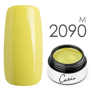 カラージェル#2090マット系カラージェル　国産化粧品製造販売届出済、プロ用カラージェル画像