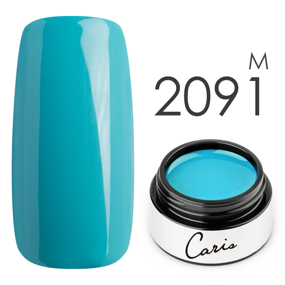 カラージェル#2091マット系カラージェル　国産化粧品製造販売届出済、プロ用カラージェル画像
