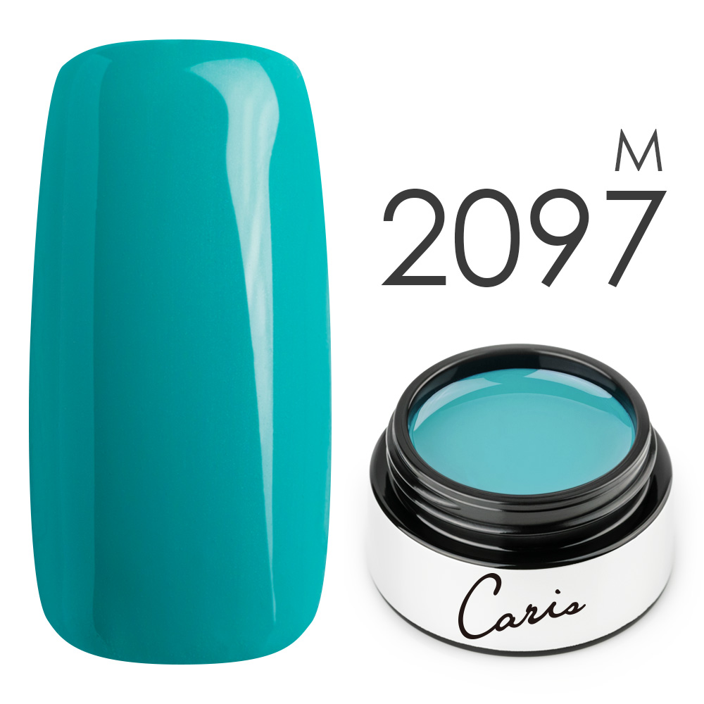 カラージェル#2097マット系カラージェル　国産化粧品製造販売届出済、プロ用カラージェル画像