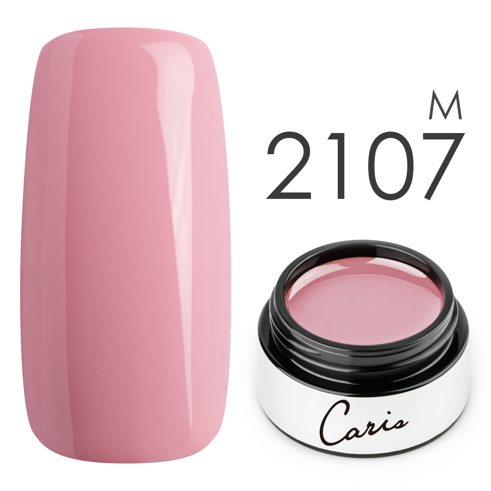 カラージェル#2107マット系カラージェル　国産化粧品製造販売届出済、プロ用カラージェル画像