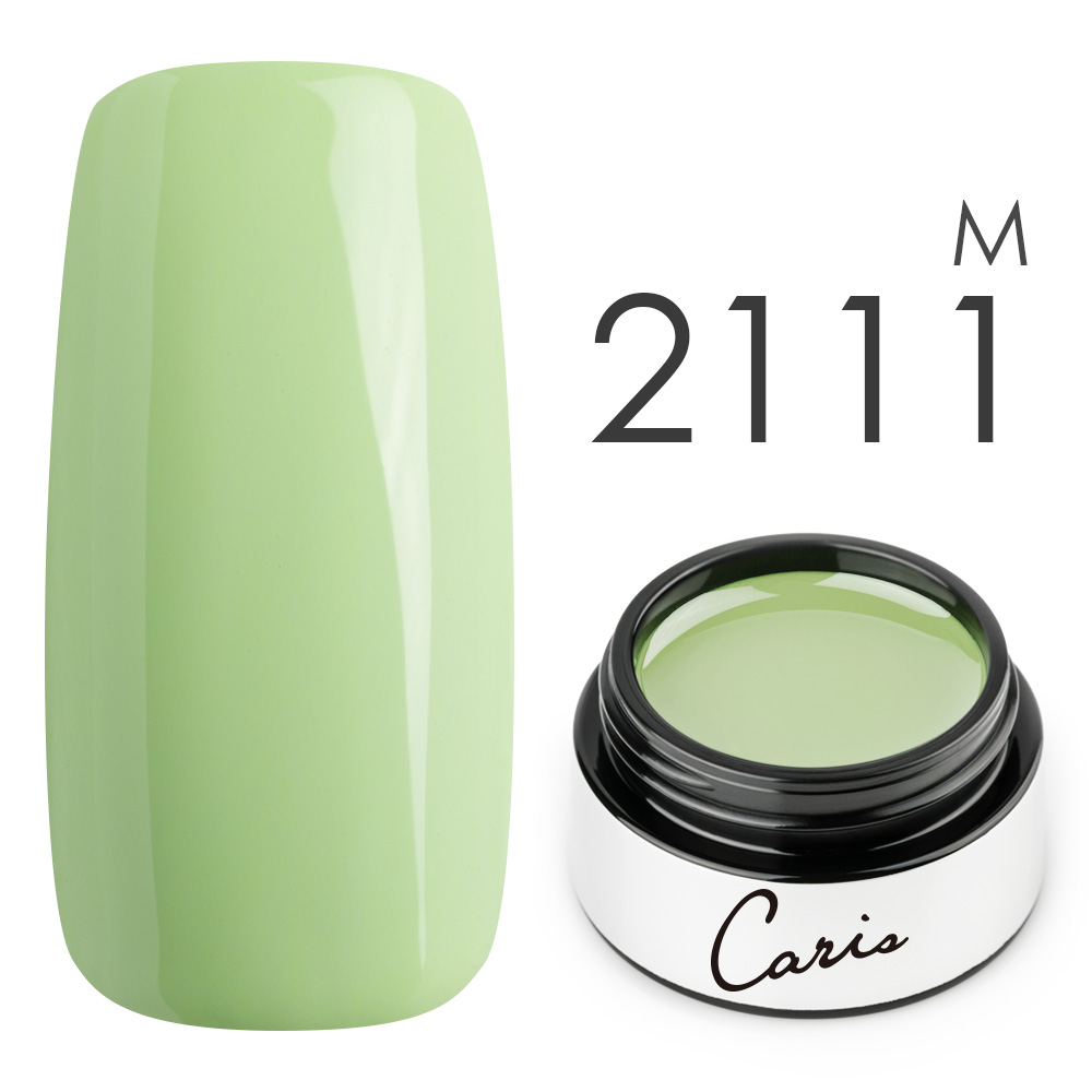 カラージェル#2111マット系カラージェル　国産化粧品製造販売届出済、プロ用カラージェル画像