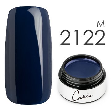 カラージェル#2122マット系カラージェル　国産化粧品製造販売届出済、プロ用カラージェル画像