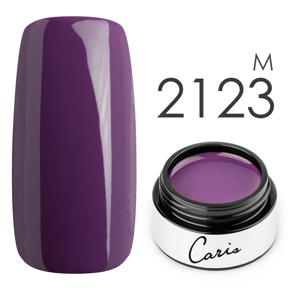 カラージェル#2123マット系カラージェル　国産化粧品製造販売届出済、プロ用カラージェル画像
