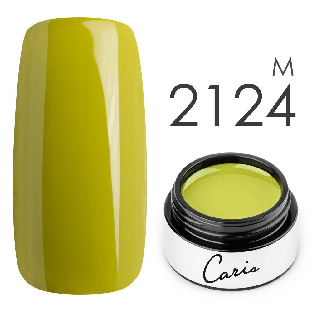 カラージェル#2124マット系カラージェル　国産化粧品製造販売届出済、プロ用カラージェル画像