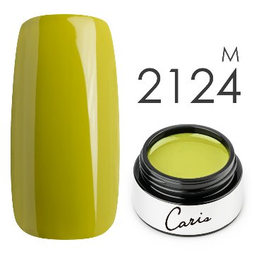 カラージェル#2124マット系カラージェル　国産化粧品製造販売届出済、プロ用カラージェルの画像