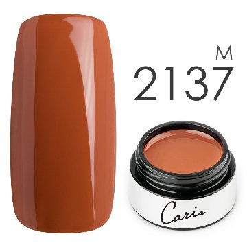 カラージェル#2137マット系カラージェル　国産化粧品製造販売届出済、プロ用カラージェル画像
