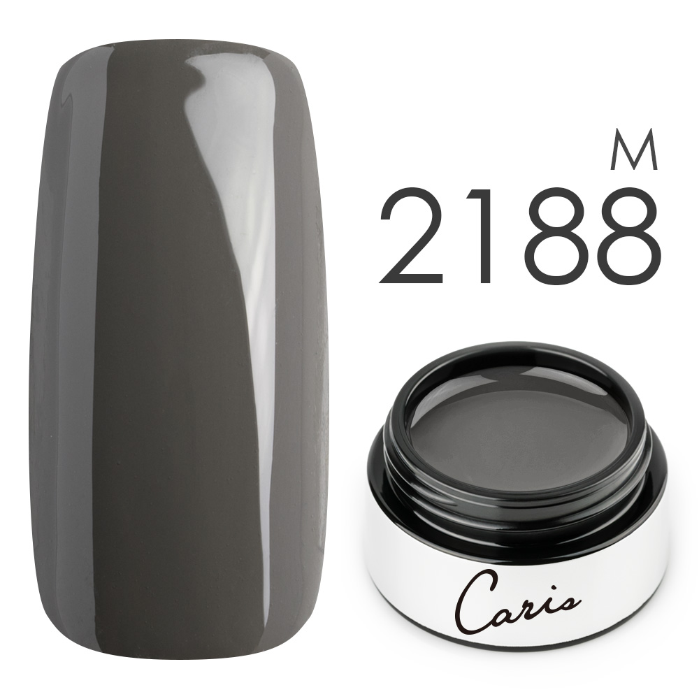 カラージェル#2188マット系カラージェル　国産化粧品製造販売届出済、プロ用カラージェルの画像
