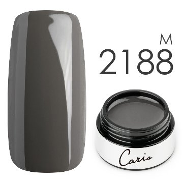 カラージェル#2188マット系カラージェル　国産化粧品製造販売届出済、プロ用カラージェルの画像