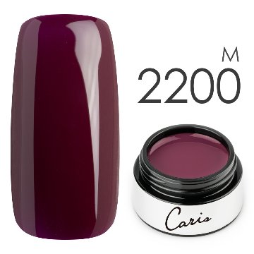 カラージェル#2200マット系カラージェル　国産化粧品製造販売届出済、プロ用カラージェルの画像
