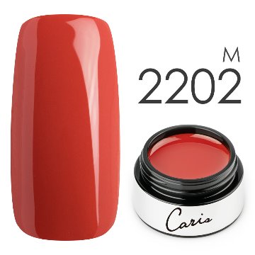 カラージェル#2202マット系カラージェル　国産化粧品製造販売届出済、プロ用カラージェル画像