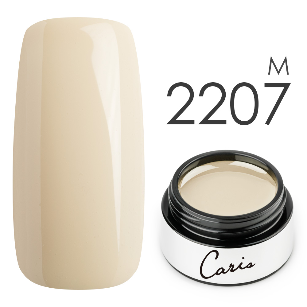 カラージェル#2207マット系カラージェル　国産化粧品製造販売届出済、プロ用カラージェルの画像