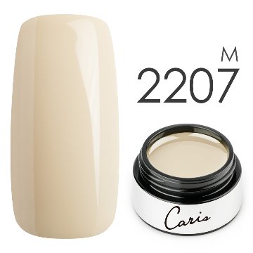 カラージェル#2207マット系カラージェル　国産化粧品製造販売届出済、プロ用カラージェルの画像