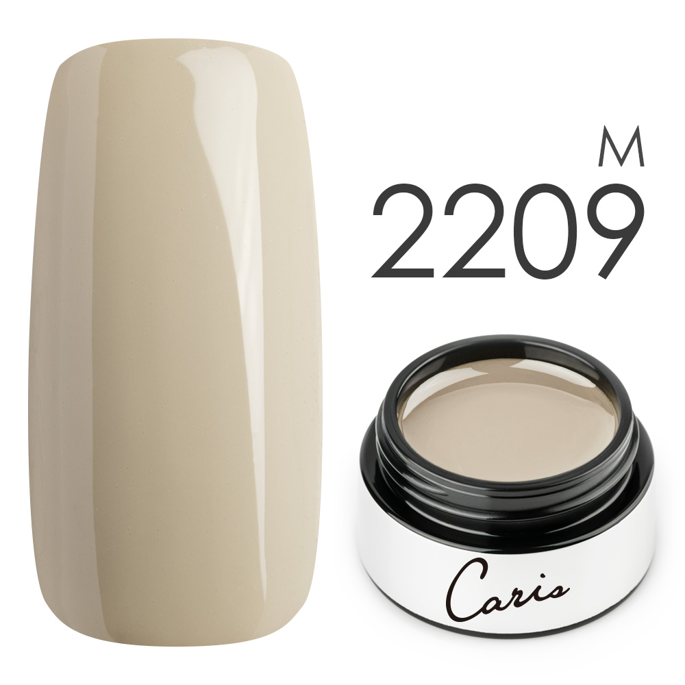 カラージェル#2209マット系カラージェル　国産化粧品製造販売届出済、プロ用カラージェルの画像