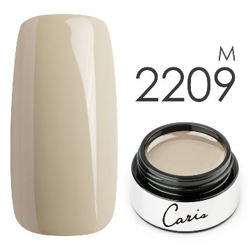カラージェル#2209マット系カラージェル　国産化粧品製造販売届出済、プロ用カラージェルの画像