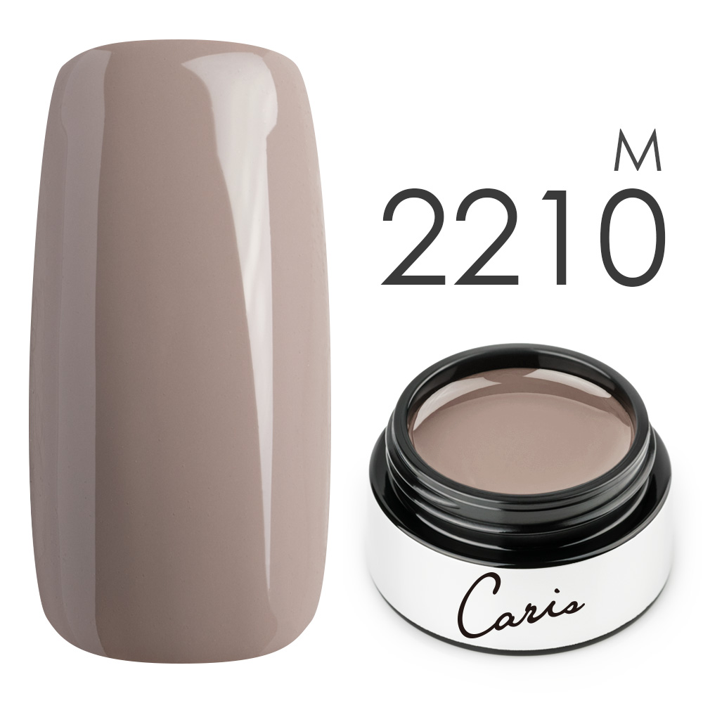 カラージェル#2210マット系カラージェル　国産化粧品製造販売届出済、プロ用カラージェル画像