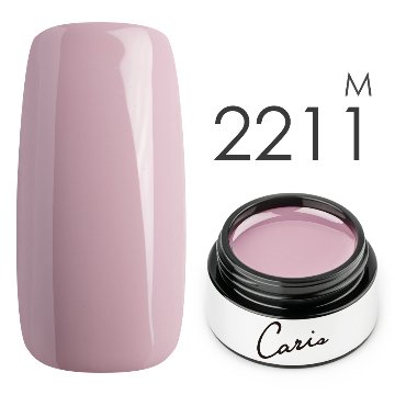 カラージェル#2211マット系カラージェル　国産化粧品製造販売届出済、プロ用カラージェルの画像