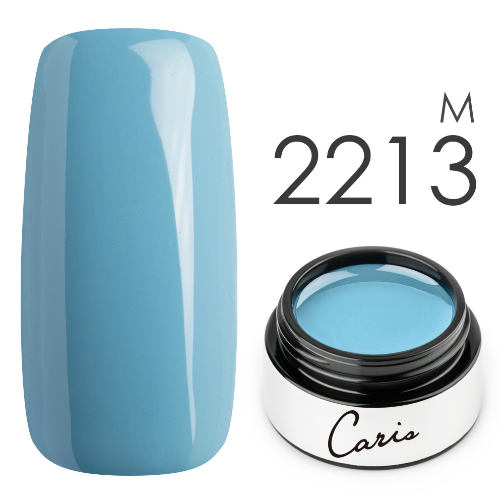 カラージェル#2213マット系カラージェル　国産化粧品製造販売届出済、プロ用カラージェル画像