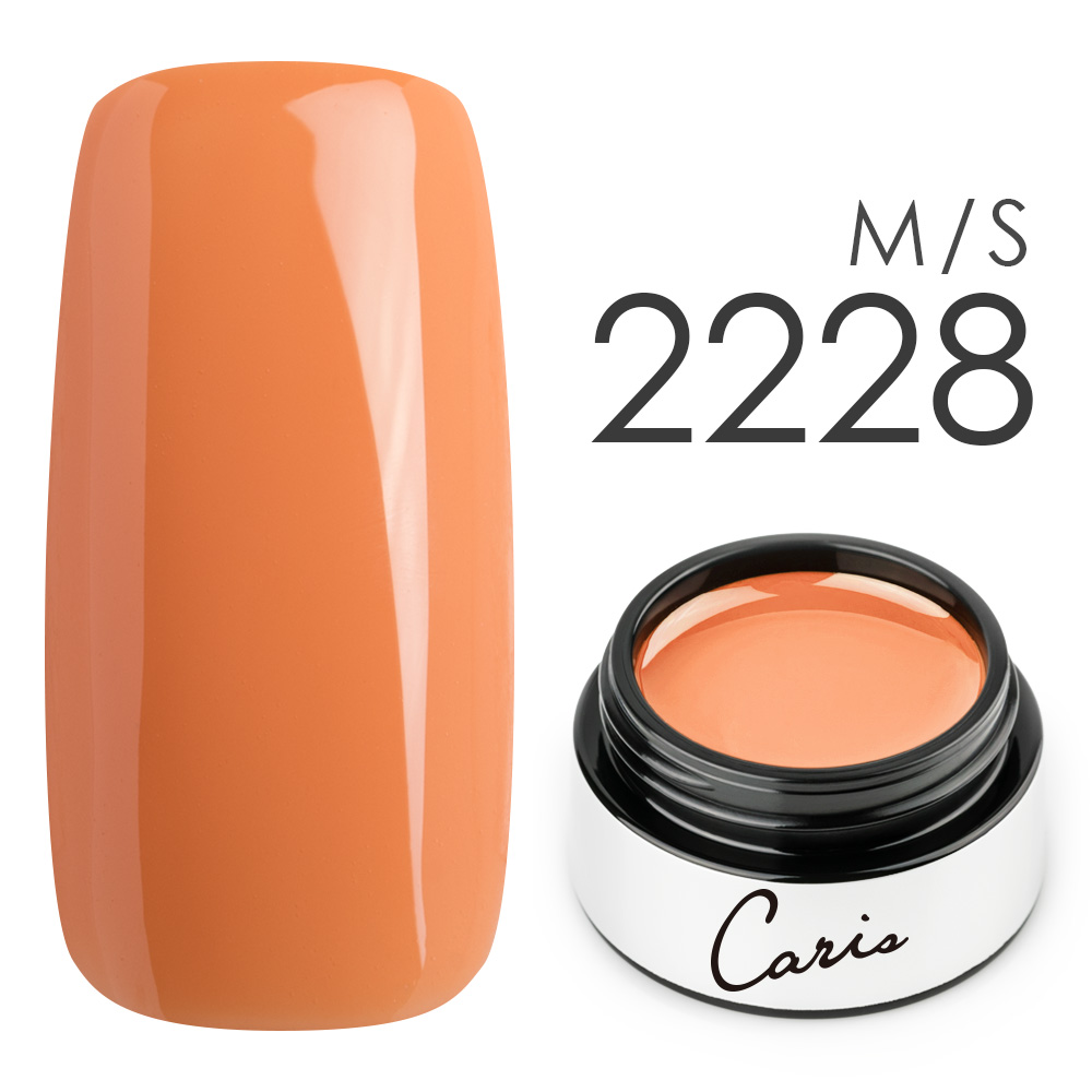 カラージェル#2228シアーマット系カラージェル　国産化粧品製造販売届出済、プロ用カラージェルの画像