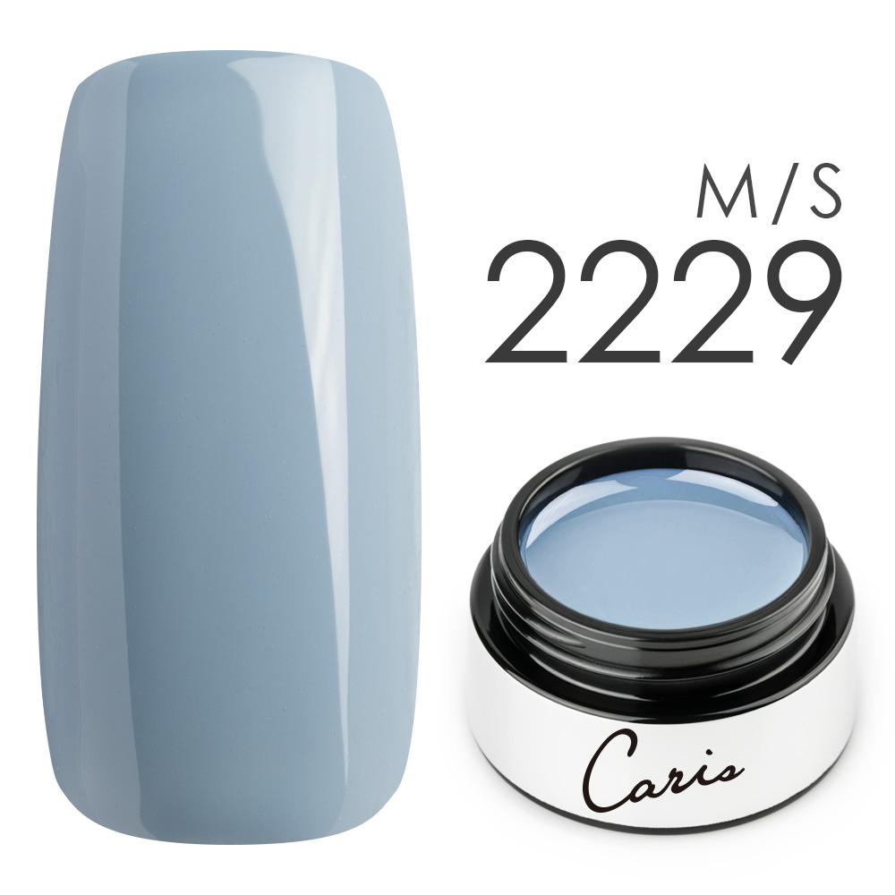 カラージェル#2229シアーマット系カラージェル　国産化粧品製造販売届出済、プロ用カラージェルの画像