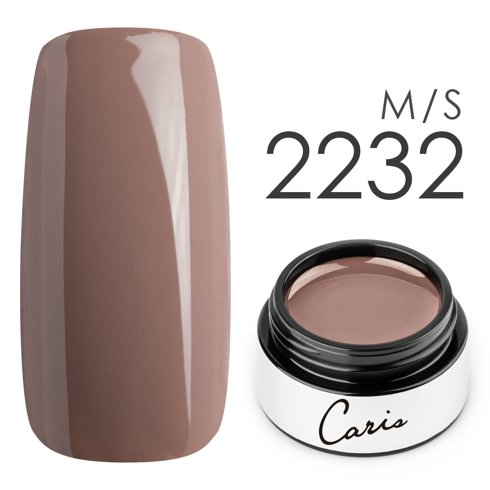 カラージェル#2232シアーマット系カラージェル　国産化粧品製造販売届出済、プロ用カラージェルの画像