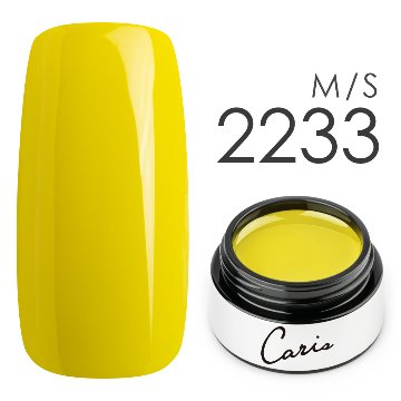 カラージェル#2233シアーマット系カラージェル　国産化粧品製造販売届出済、プロ用カラージェル画像