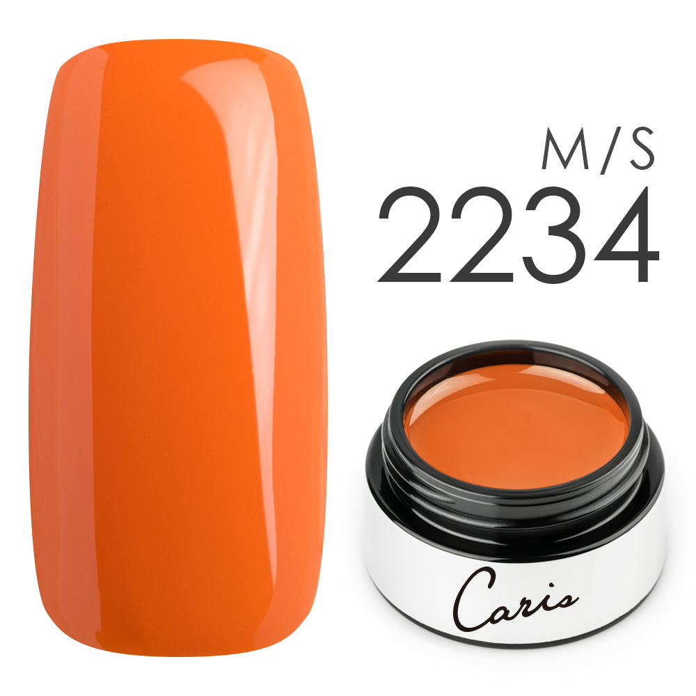 カラージェル#2234シアーマット系カラージェル　国産化粧品製造販売届出済、プロ用カラージェル画像
