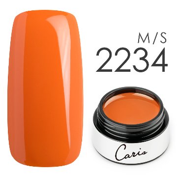 カラージェル#2234シアーマット系カラージェル　国産化粧品製造販売届出済、プロ用カラージェルの画像