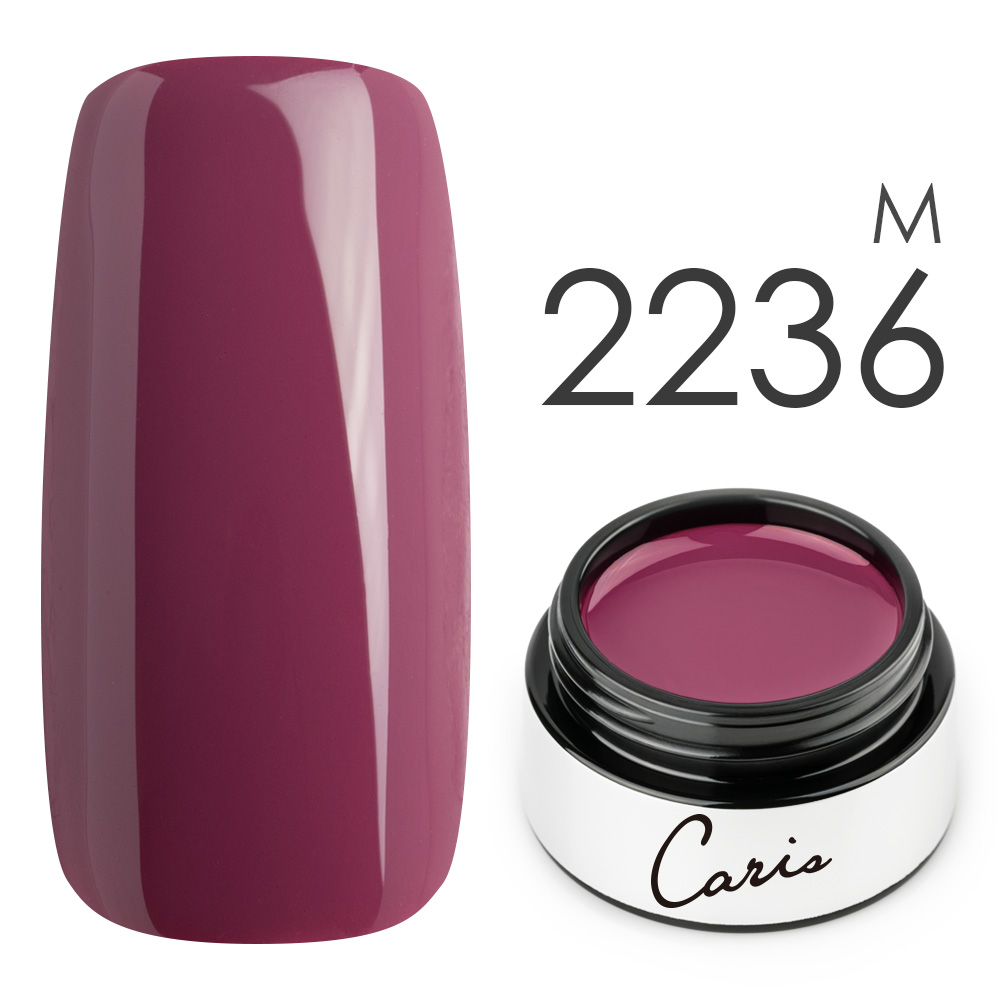 カラージェル#2236マット系カラージェル　国産化粧品製造販売届出済、プロ用カラージェル画像