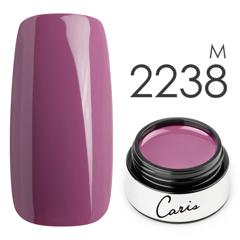 カラージェル#2238マット系カラージェル　国産化粧品製造販売届出済、プロ用カラージェルの画像